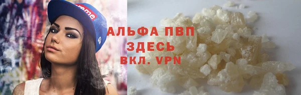 спиды Абаза
